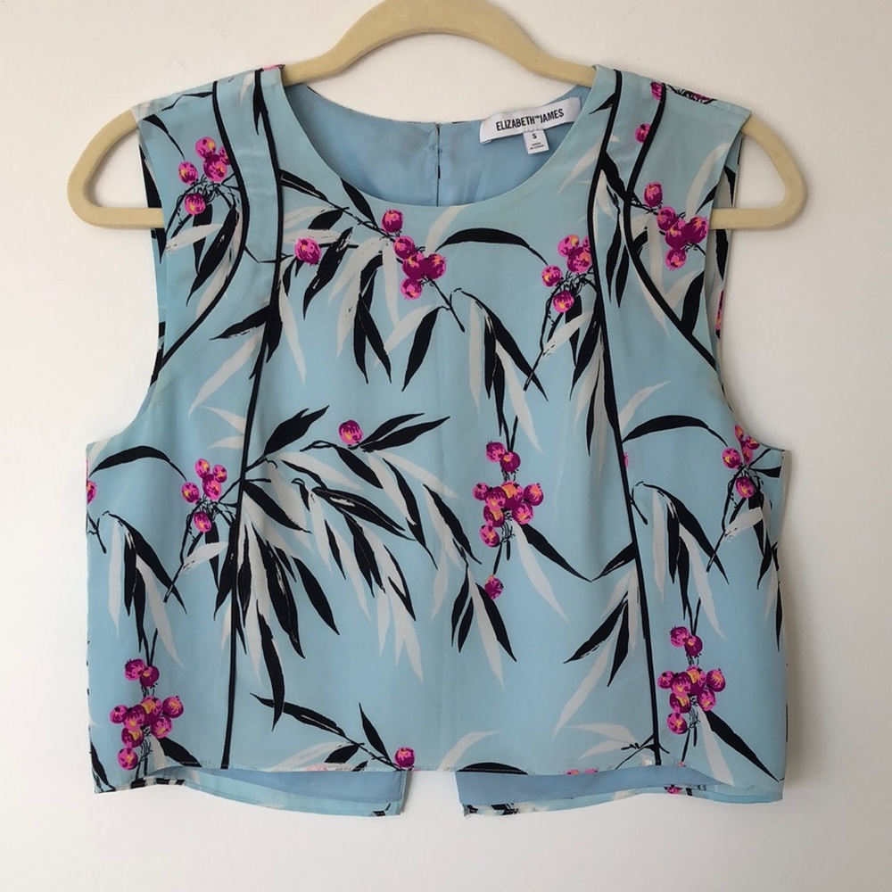 Elizabeth and James Floral Silk Crop Top